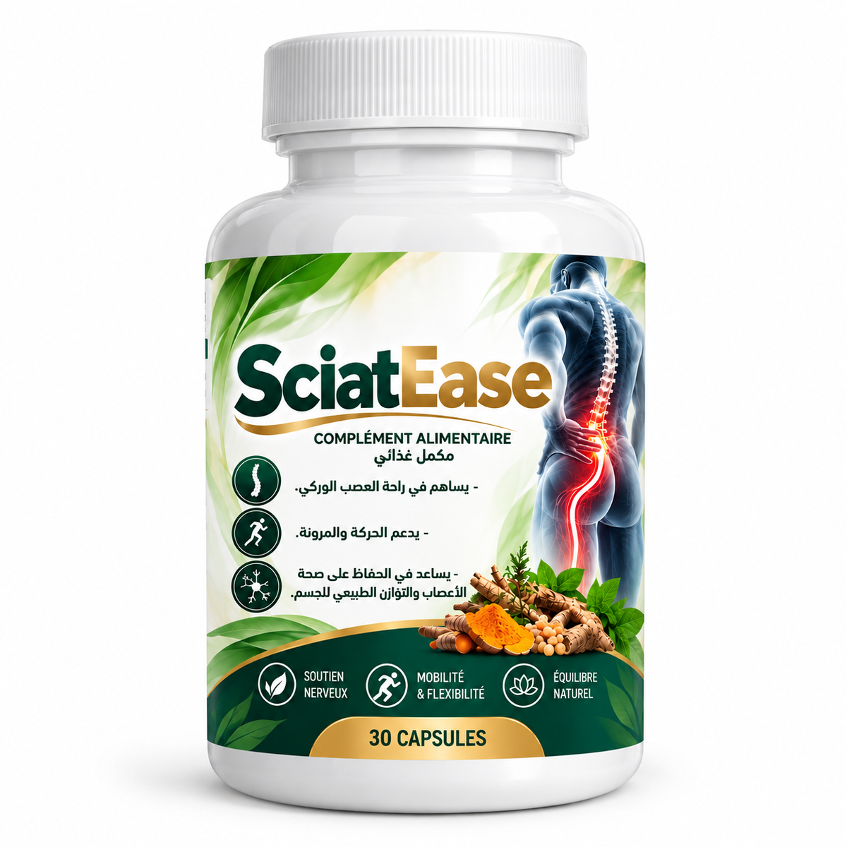 Sciatica